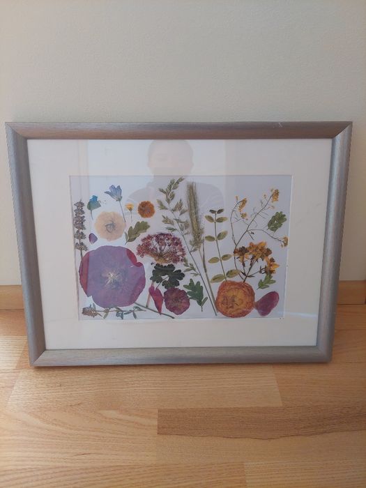 Tablou cu flori presate