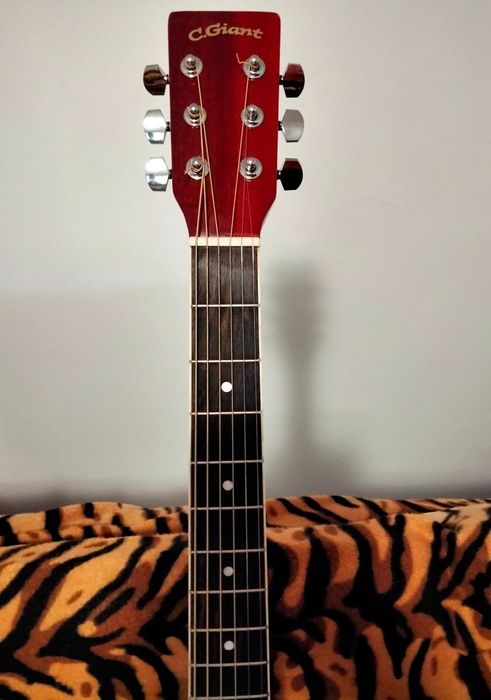 Електро акустична китара C.Giant с Fishman 301