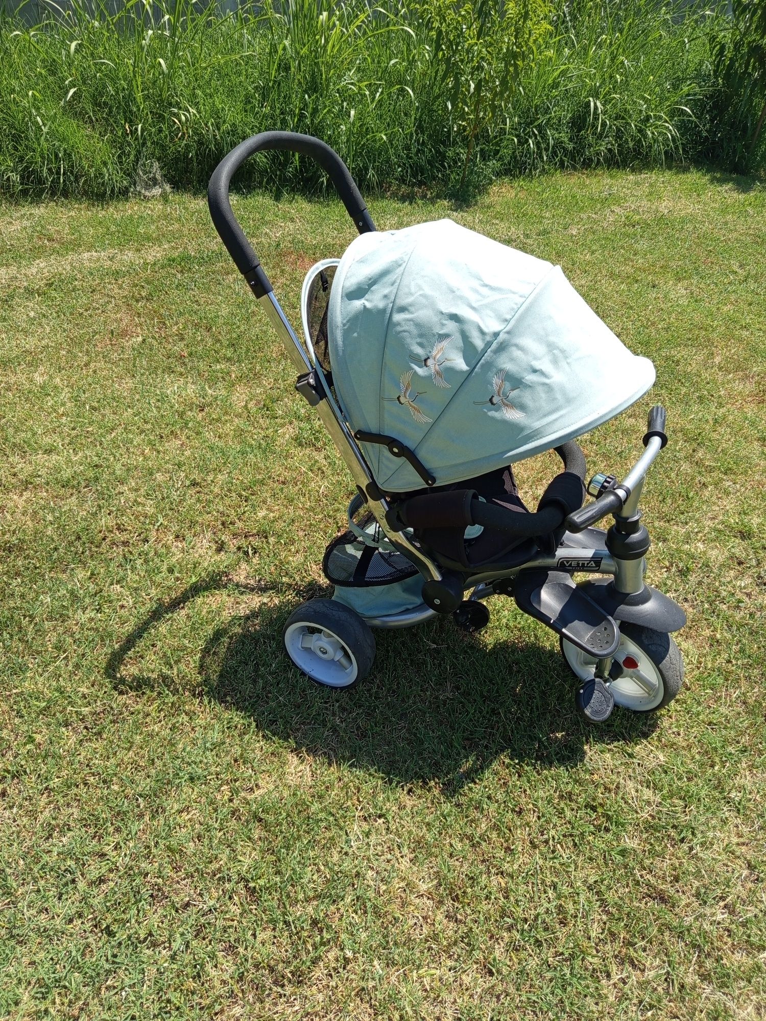 Триколка KikkaBoo Vetta 2in1 trike