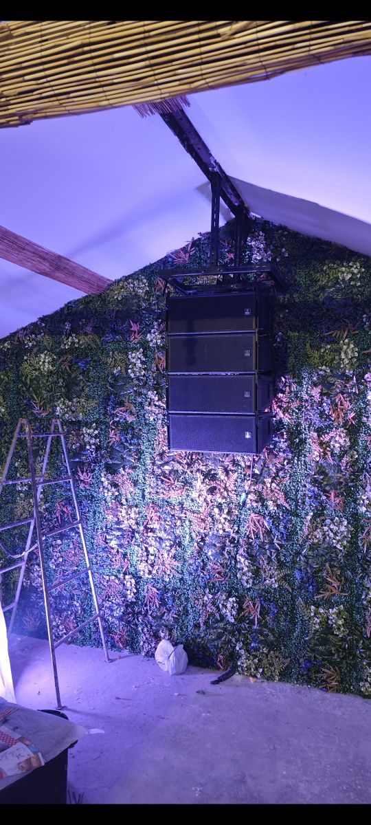 Тонколонк Line array