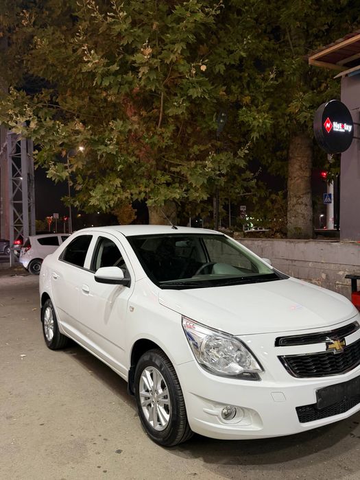 Kobalt stayl xolati idial