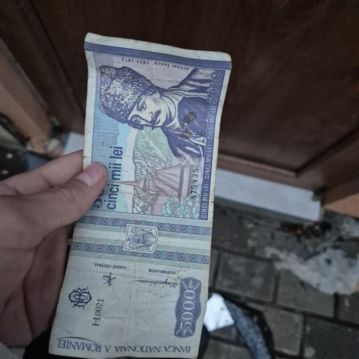 Bacnote vechi 1000 si 5000