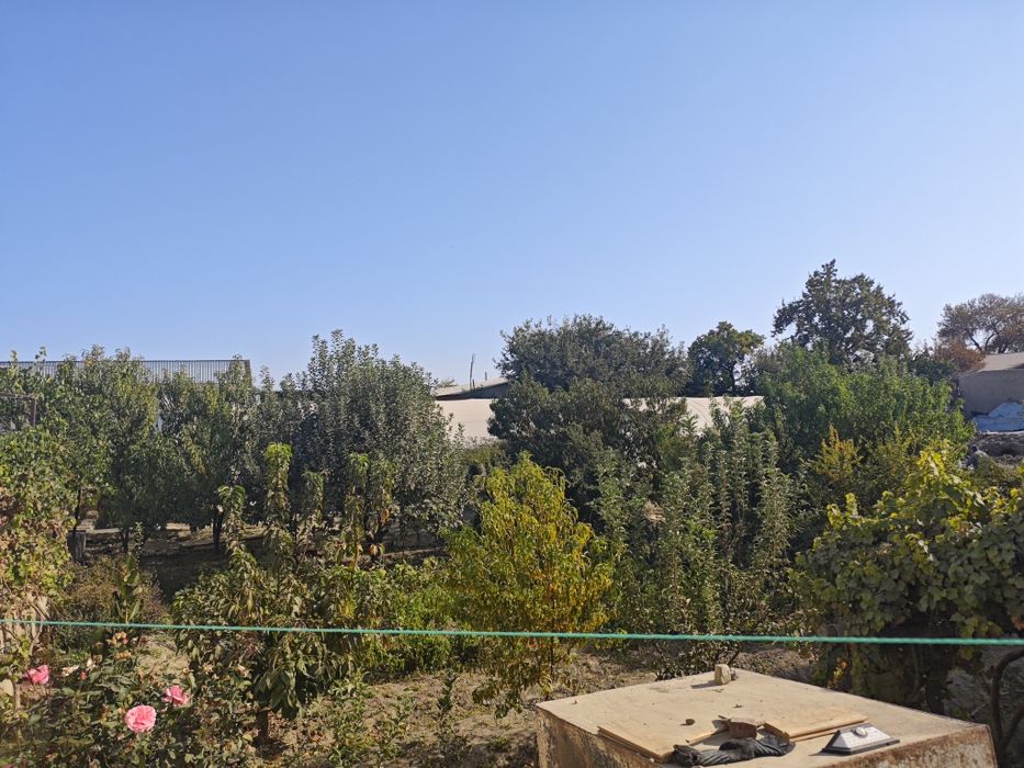 Участка куришга мулжалланган ер