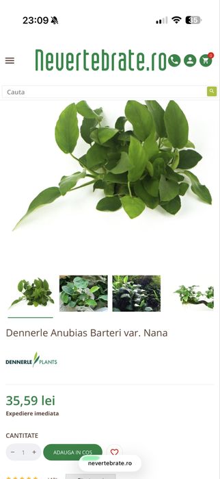 Full set Acvariu curbat Dennerle Nano Scapers Tank 35l + Accesorii