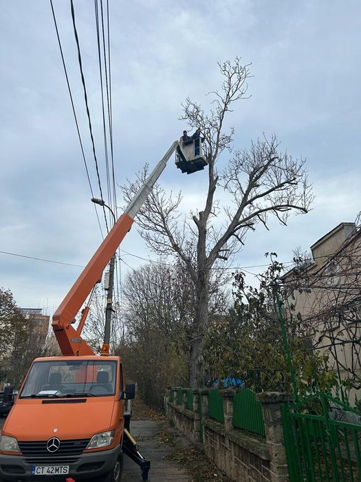 Curatare-cosire spatii verzi transport resturi vegetale