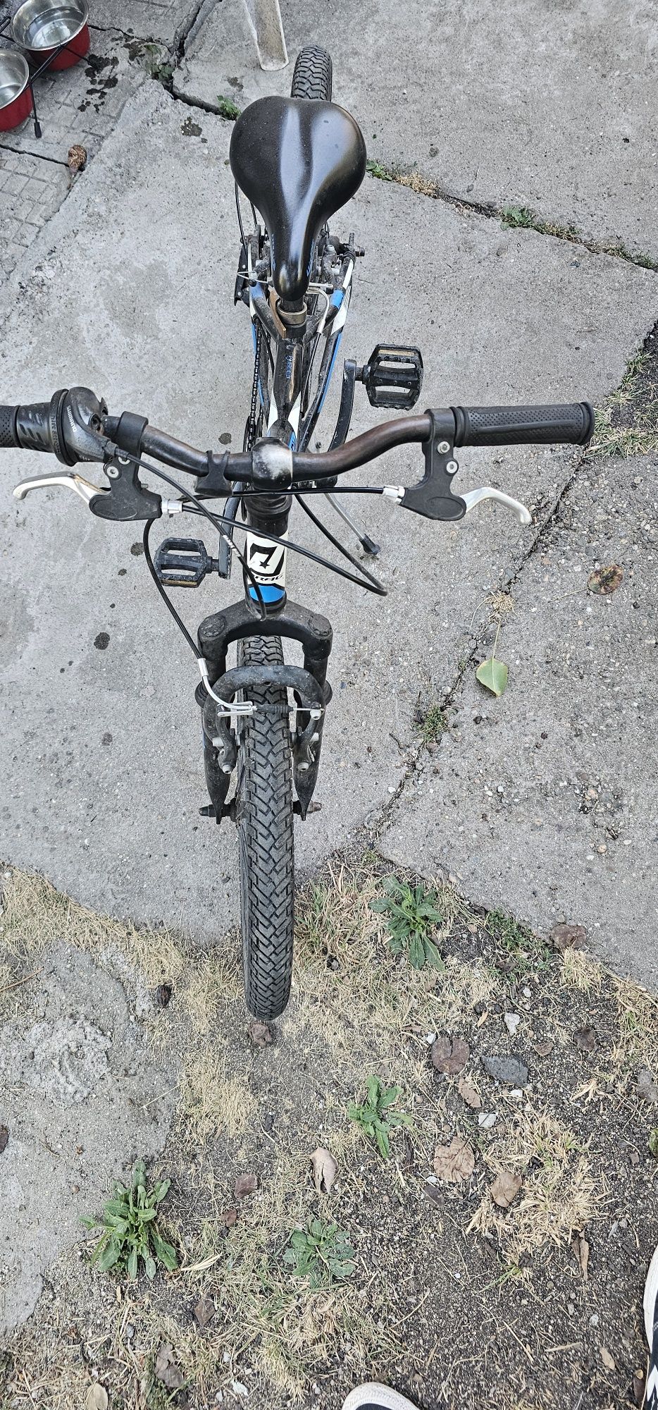 Drag hardy jr 20"