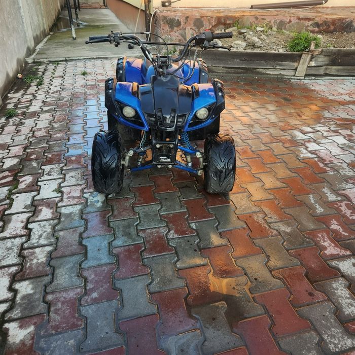 Vând atv și buggy