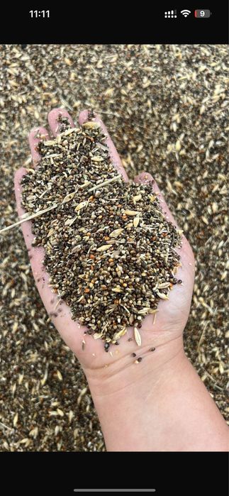 Пшеничная сечка для животных