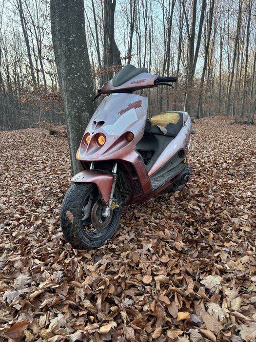 Malaguti f12 phantom