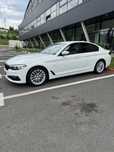 Bmw 520 G30 alb mat