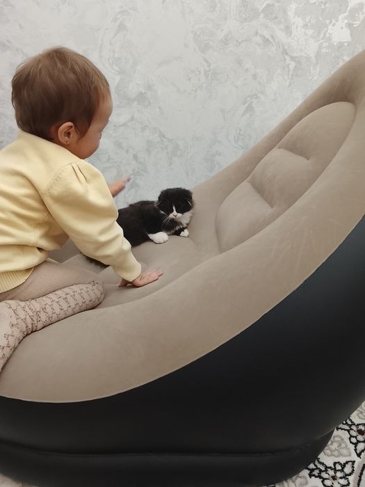 Телевизор и телефон кора диган Киз бола мушук сотилади