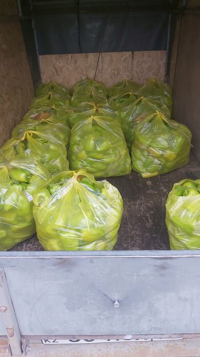 легковой прицеп 2.5м