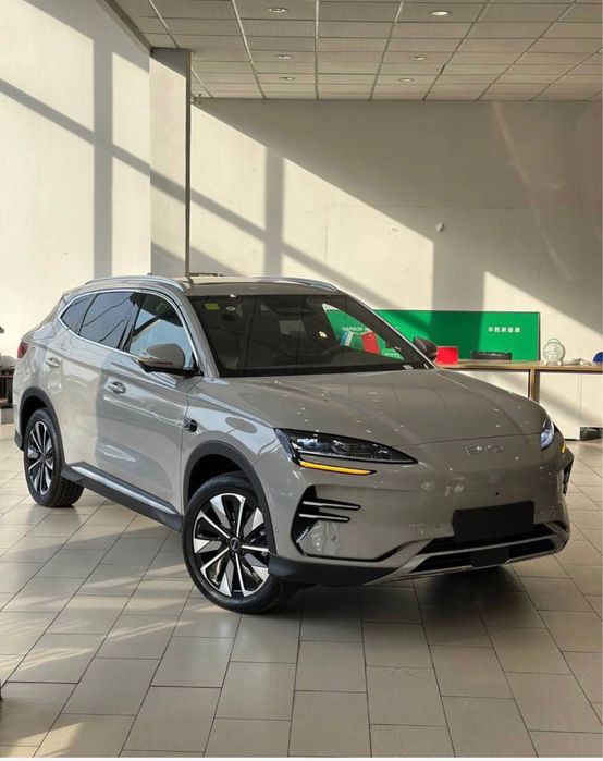 Byd Chempion Chegirma narxda tayyor