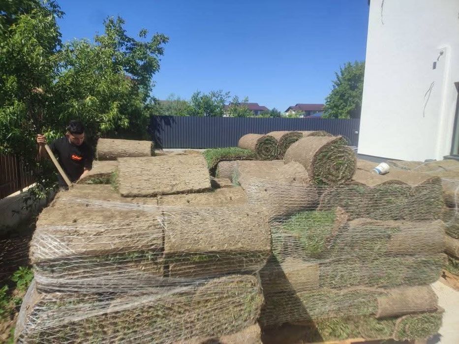 Amenajăm curți gazon rulou sport