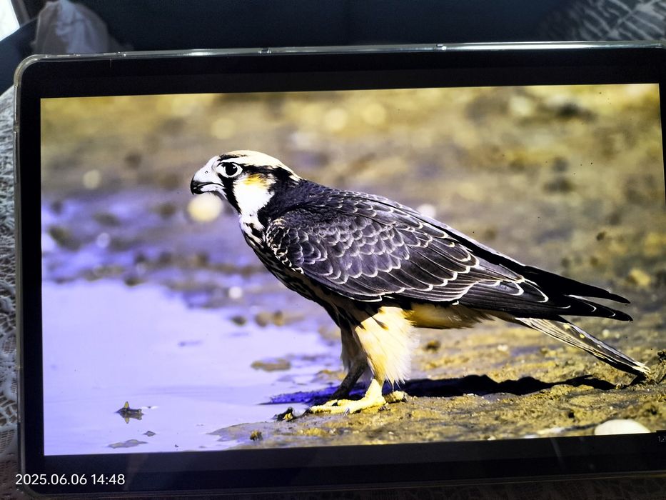 Vand tableta Lenovo P11 Pro , Oled  11,5"