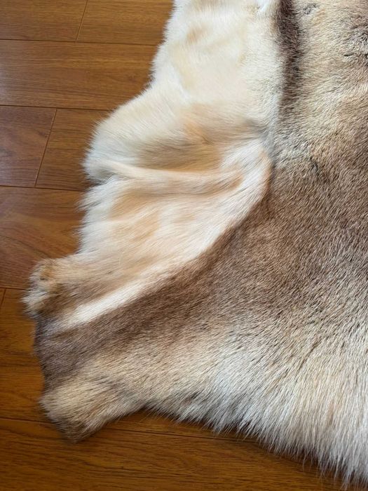 Blana naturala de ren , cumparata din Finlanda