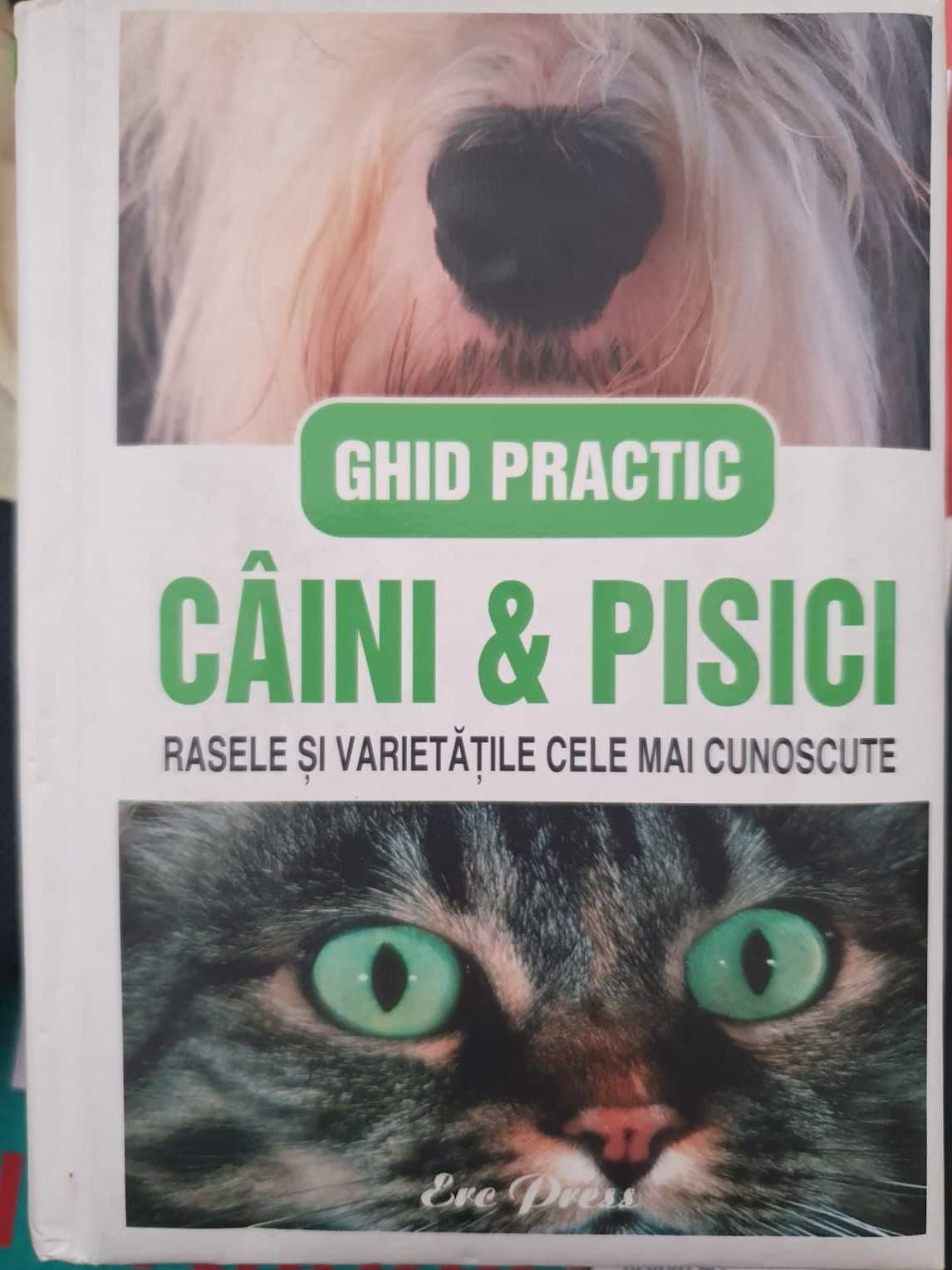 Câini, pisici, ghid ilustrat