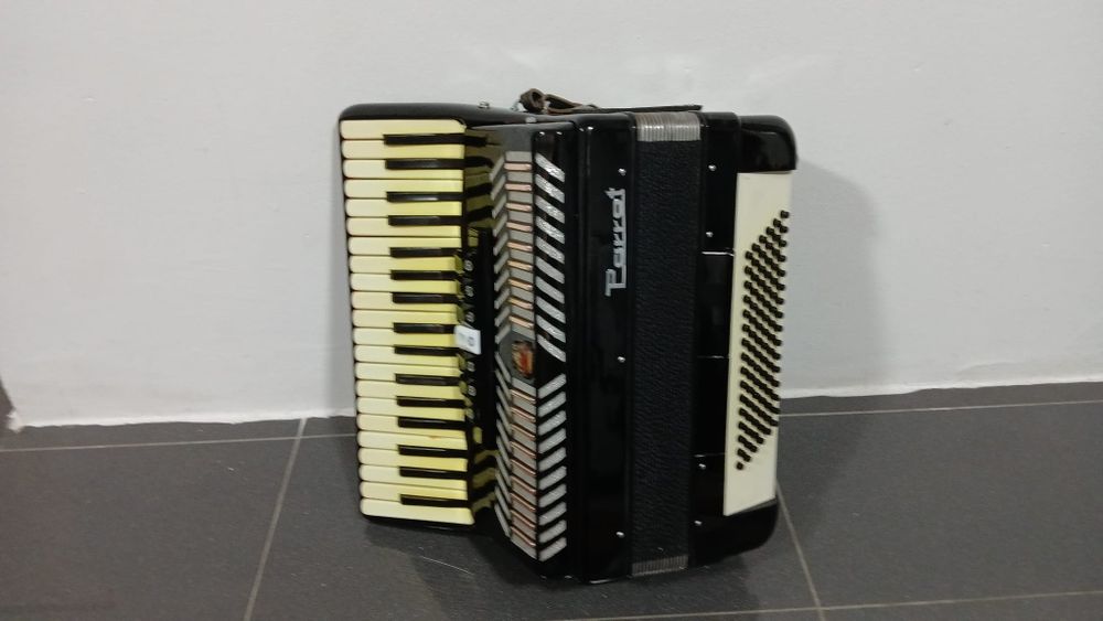 Acordeon  Parrot