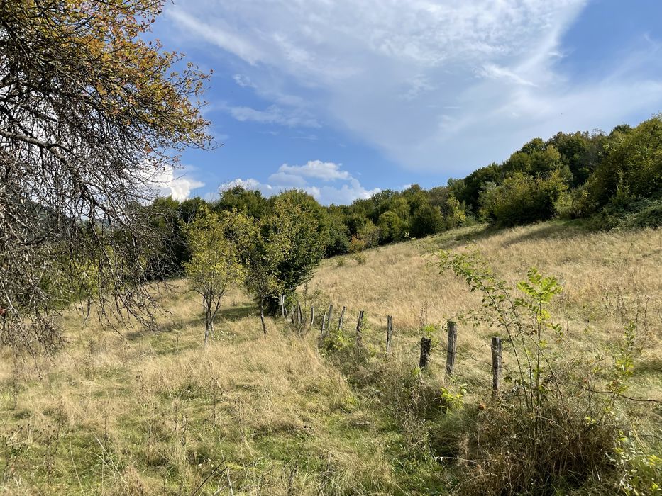 Teren extravilan in com Buces -jud Hunedoara 3648 mCF