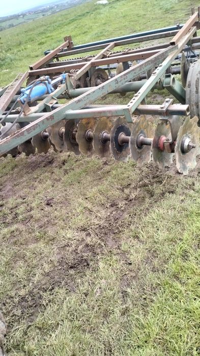 Disc românesc de Botoșani