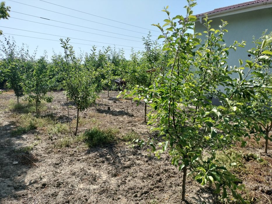 Vând Casă la Văleni VS 8 km DN 24