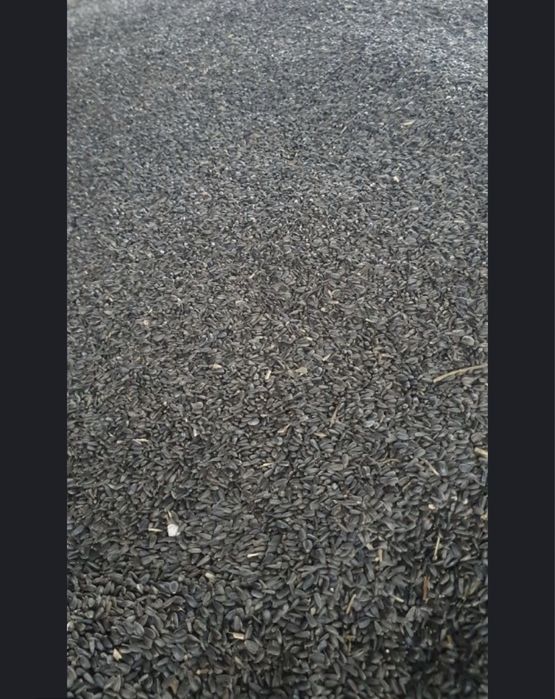 Floarea soarelui ,triticale de vanzare !