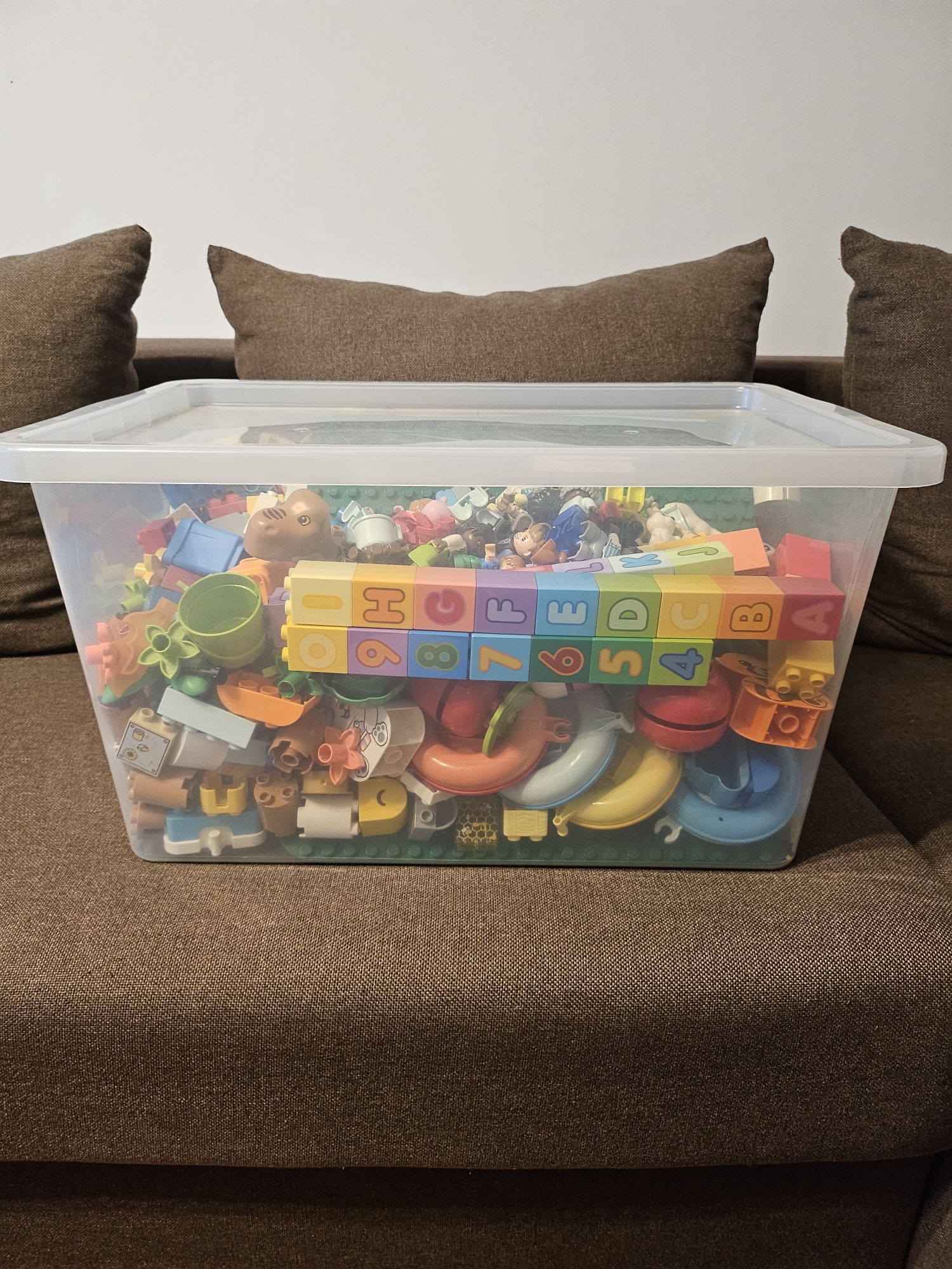 Lego Duplo      .