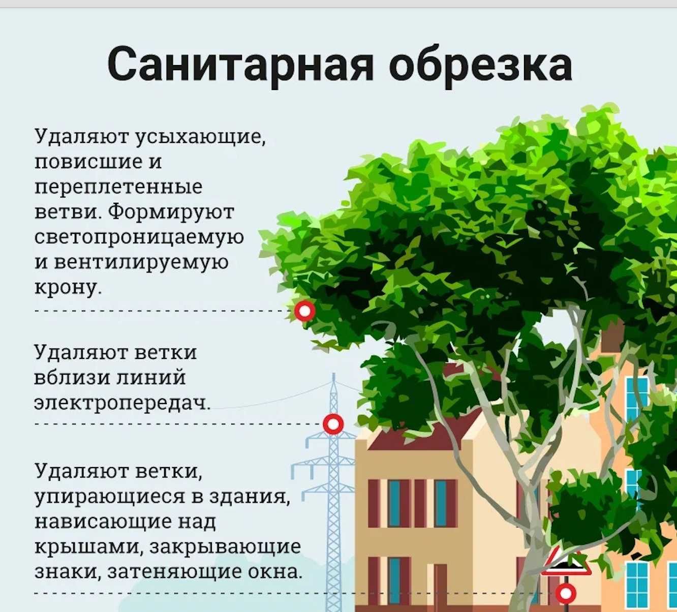 Санитарная обрезка деревьев и кустарников  Комплексный подход