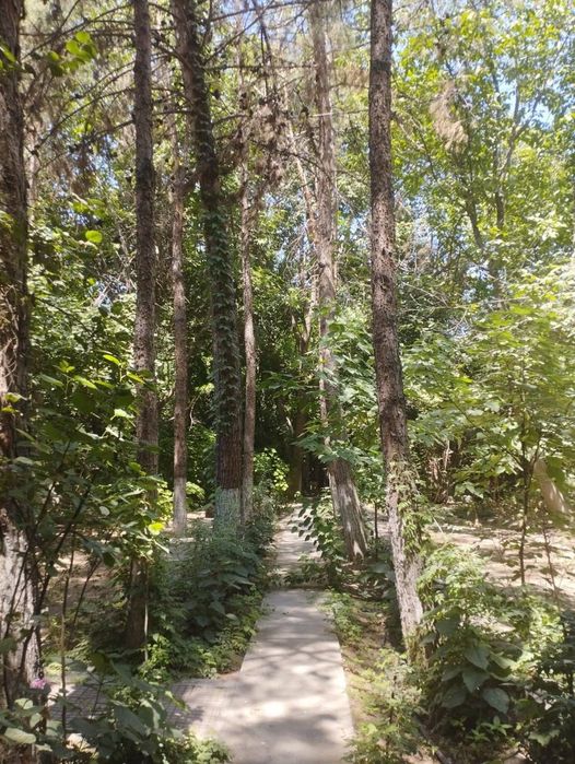 Земельный участок в Янгий Узбекистан, фасад 150м ширина 40м, Тузель