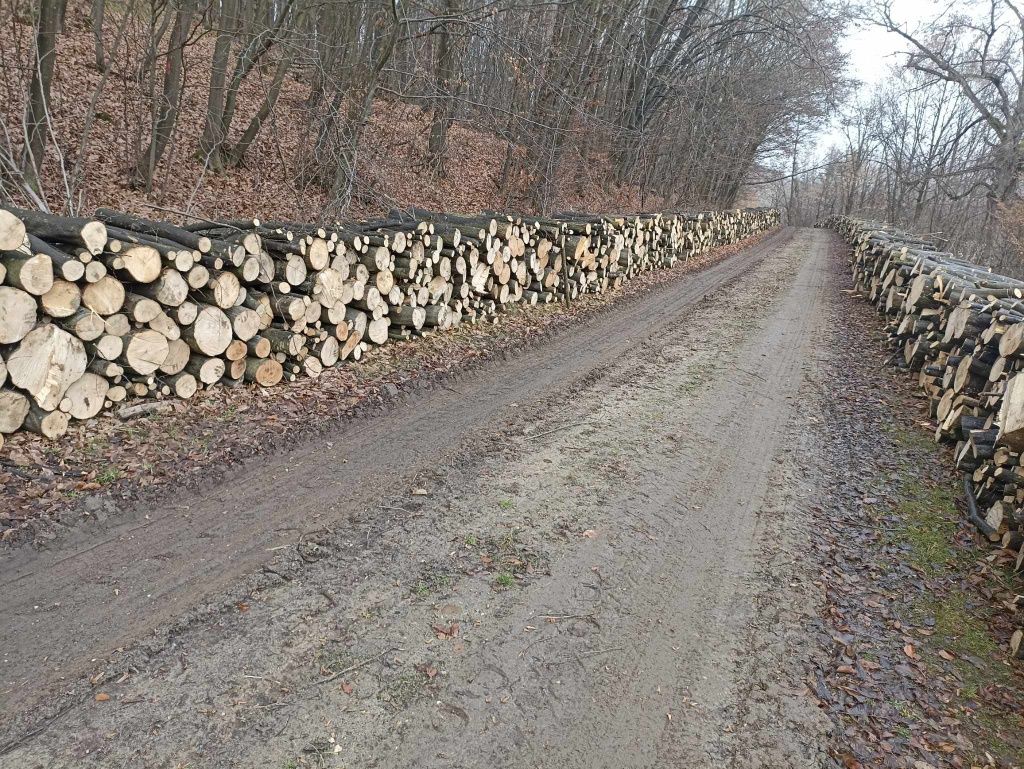 Vand lemne de foc Esenta tare Fag Carpen Stejar transport la domiciliu