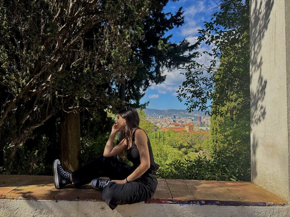 Meditații Limba și Literatura Română