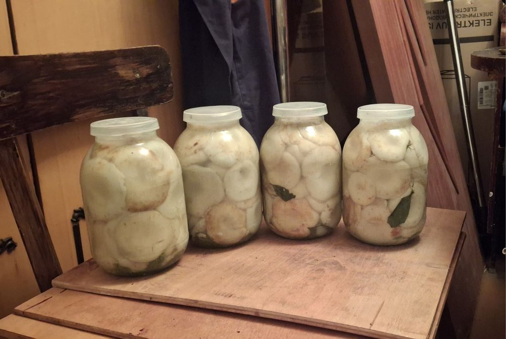 Маринованные ГРИБЫ грузди