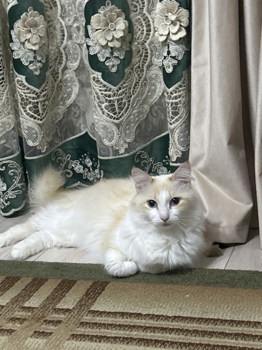 томик 4 г беспл мы уежаем за гр