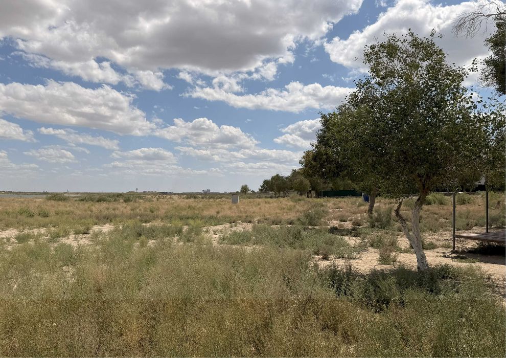 Тез-арада "Ашшы-кол" бойында жер майданы сатылады!