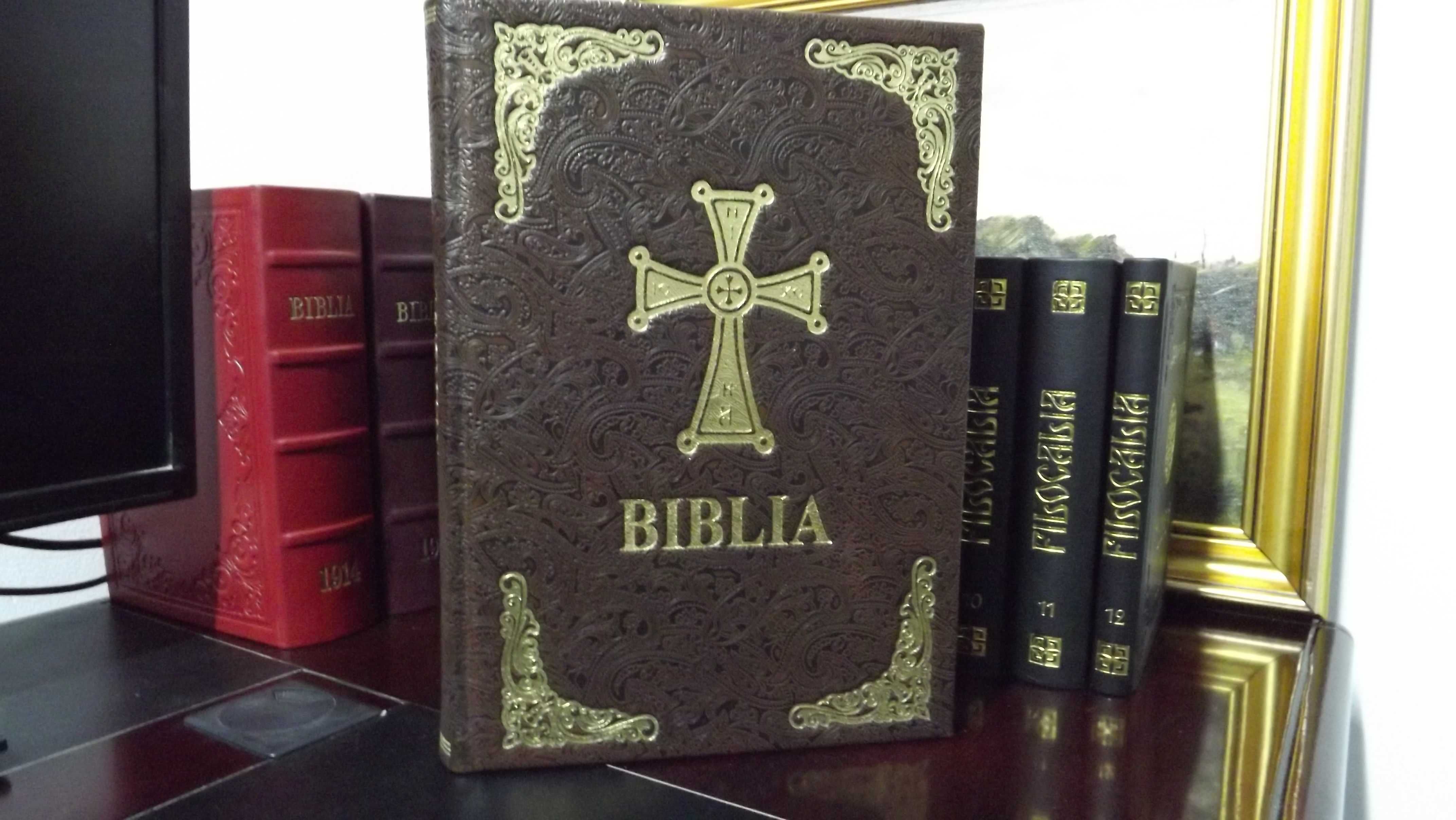 Biblia cu scris mare