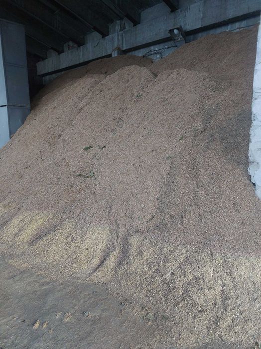 Стърготина дъбова от моторна резачка.