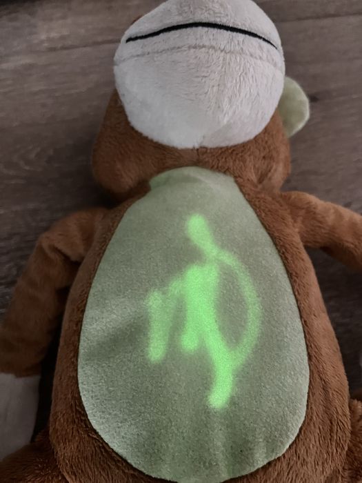 Maimuta cu pix florescent