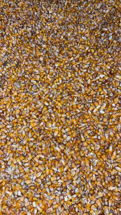 Vand porumb,orz,grau si foloarea soarelui