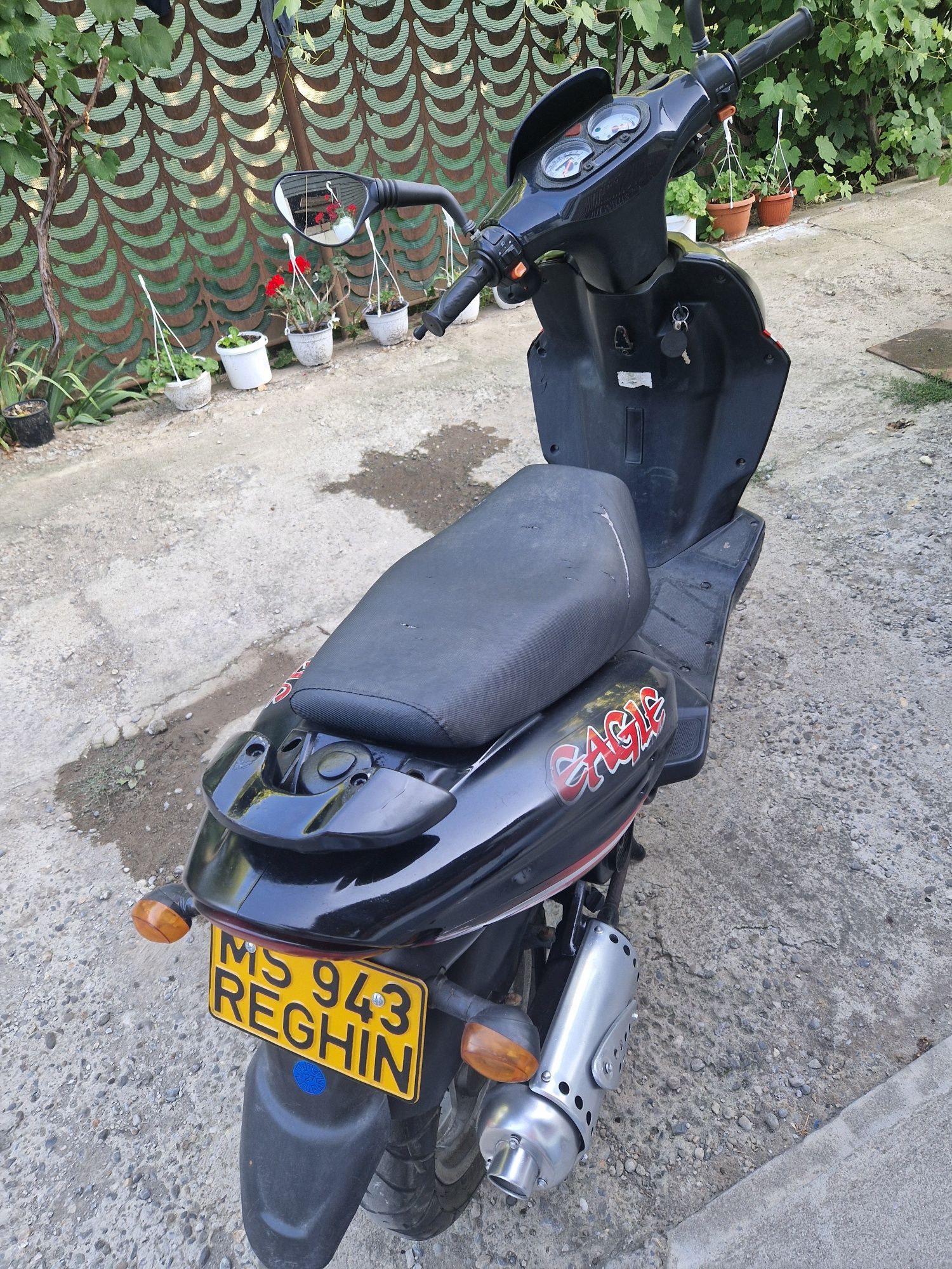 Scuter gilbeera 2