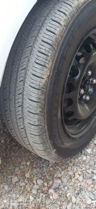 Spark 2012 2 pazitsa