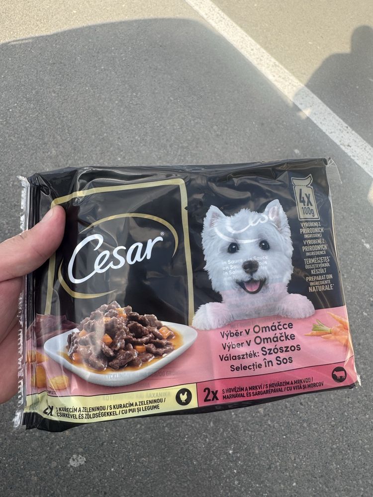 Hrana umeda catei Cesar 4 plicuri