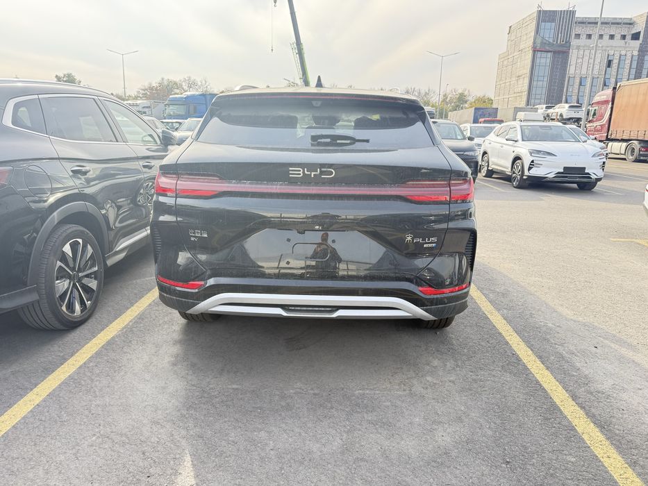 Sea Lion 06. Tashkent da Nd 40. Klent nomiga chiqadi