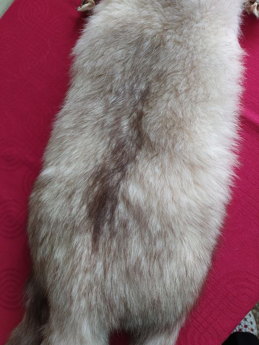 Яка от цяла сребърна лисица