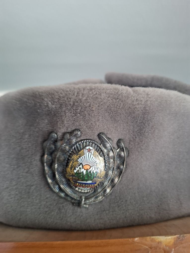 Caschete si embleme militare