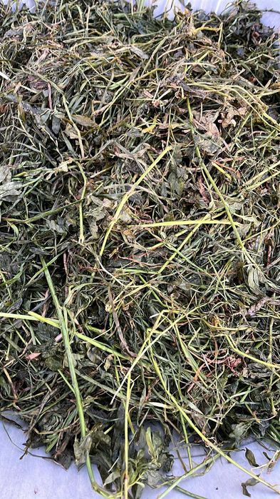 Siloz lucerna coasa 4 infoliati 125x120