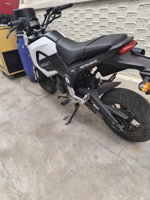 Scuter 125 urban(honda)