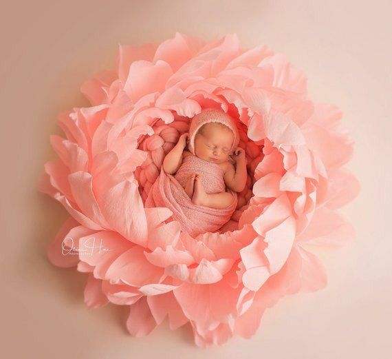 Цвете легло за  бебешка фотосесия новородено