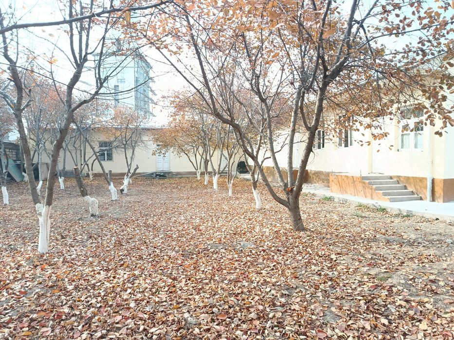 Срочно Земля продается Янги тошкент худуди 100%