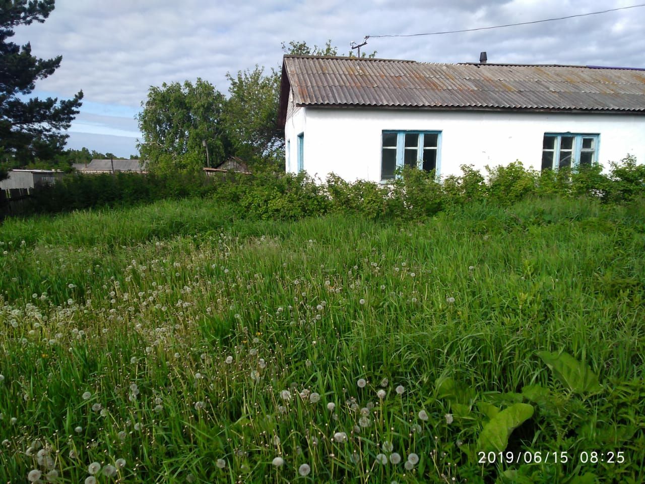 Продам дом в деревне Сосновка