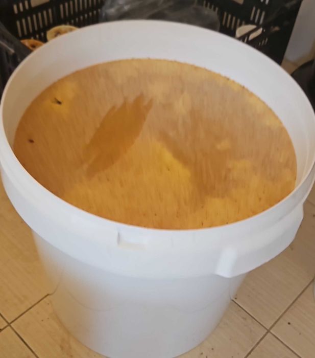 Vand miere la galeata